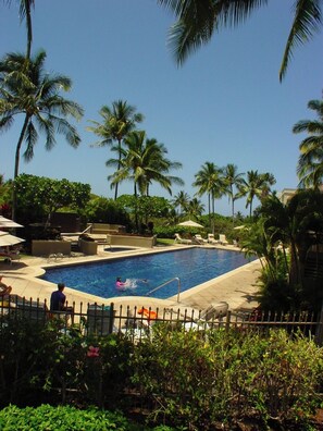 A swimming pool surrounded by palm trees and lounge chairs.