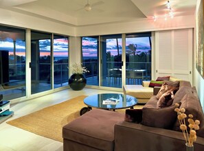 Smart TV, books, music library, video library