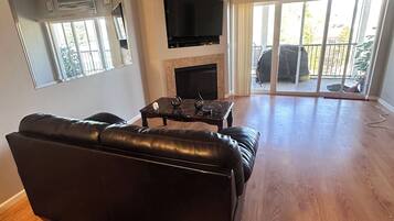 Smart TV, fireplace, DVD player, books