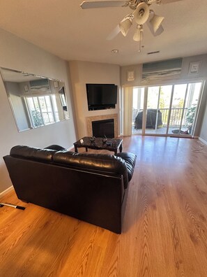 Smart TV, fireplace, DVD player, books