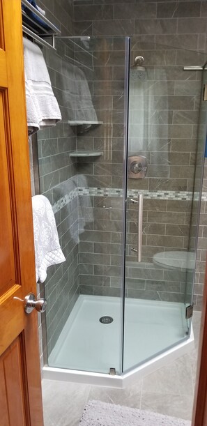 Combined shower/bathtub, hair dryer, towels, soap - Western Catskills Paradise - Four-Season Mountaintop Retreat (Bainbridge)