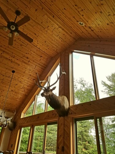 Turtle Flambeau Flowage Lakefront Cabin
