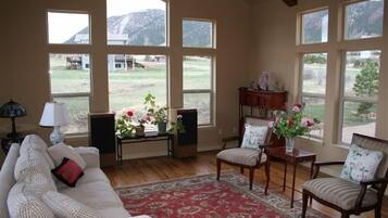 Smart TV, chimenea, reproductor de DVD y libros