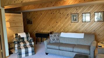 Televisio, DVD-soitin, kirjoja, musiikkikirjasto