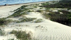 A sandy beach with dunes and sparse vegetation.
