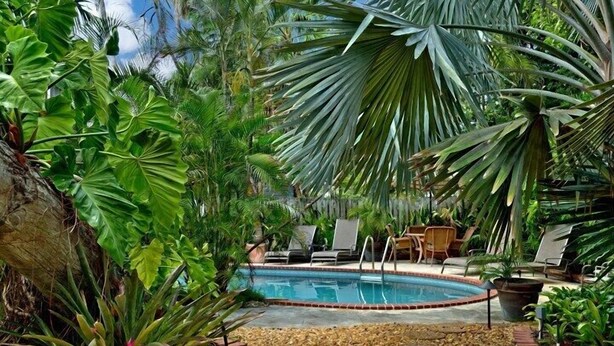 Une piscine entourée d’une végétation tropicale luxuriante et une terrasse en bois dotée de chaises longues.