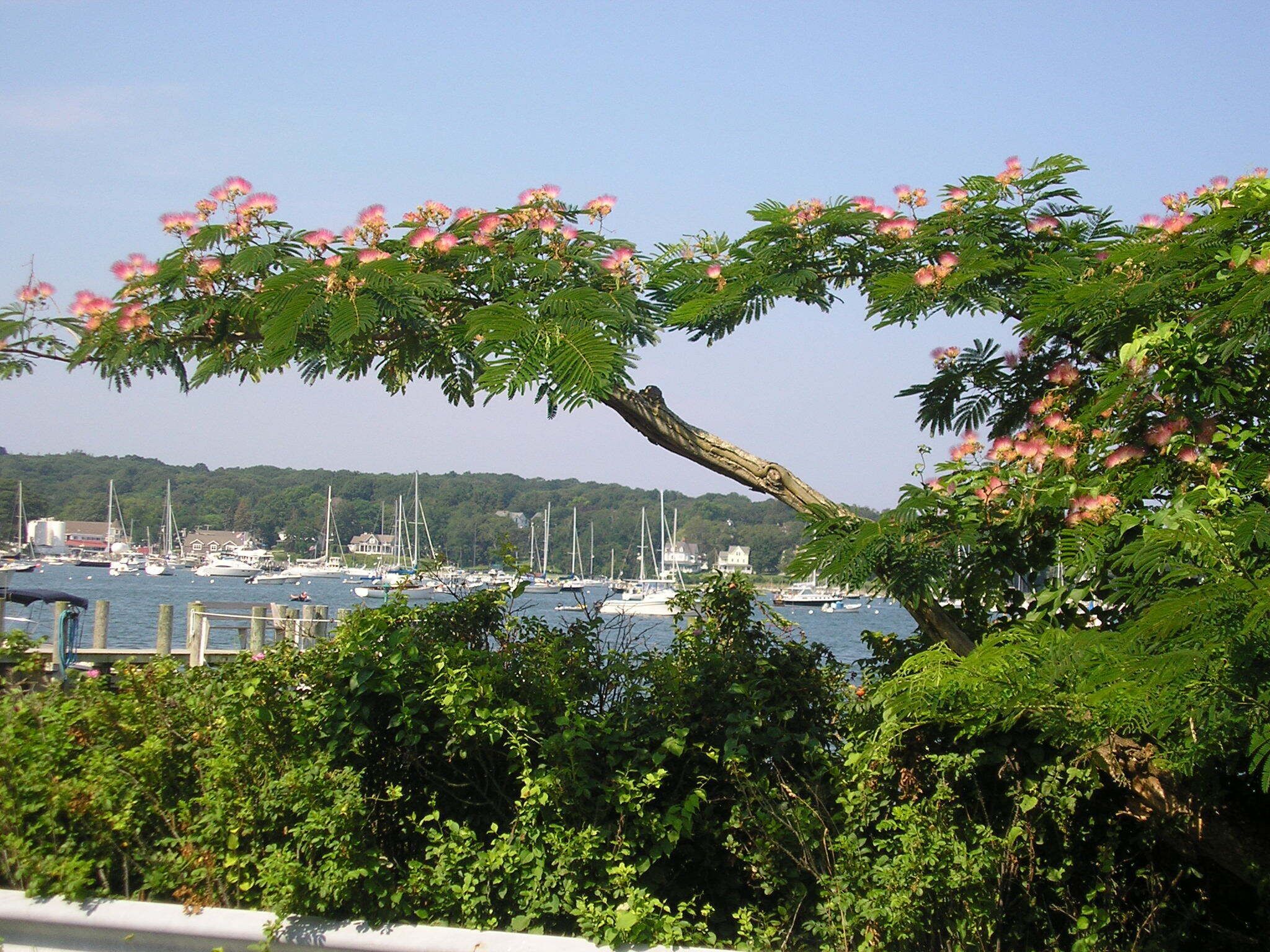 Beautiful Secluded Family Home on Shelter Island.