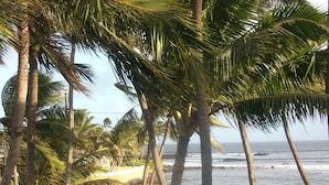 Vista costeira com palmeiras e uma praia.