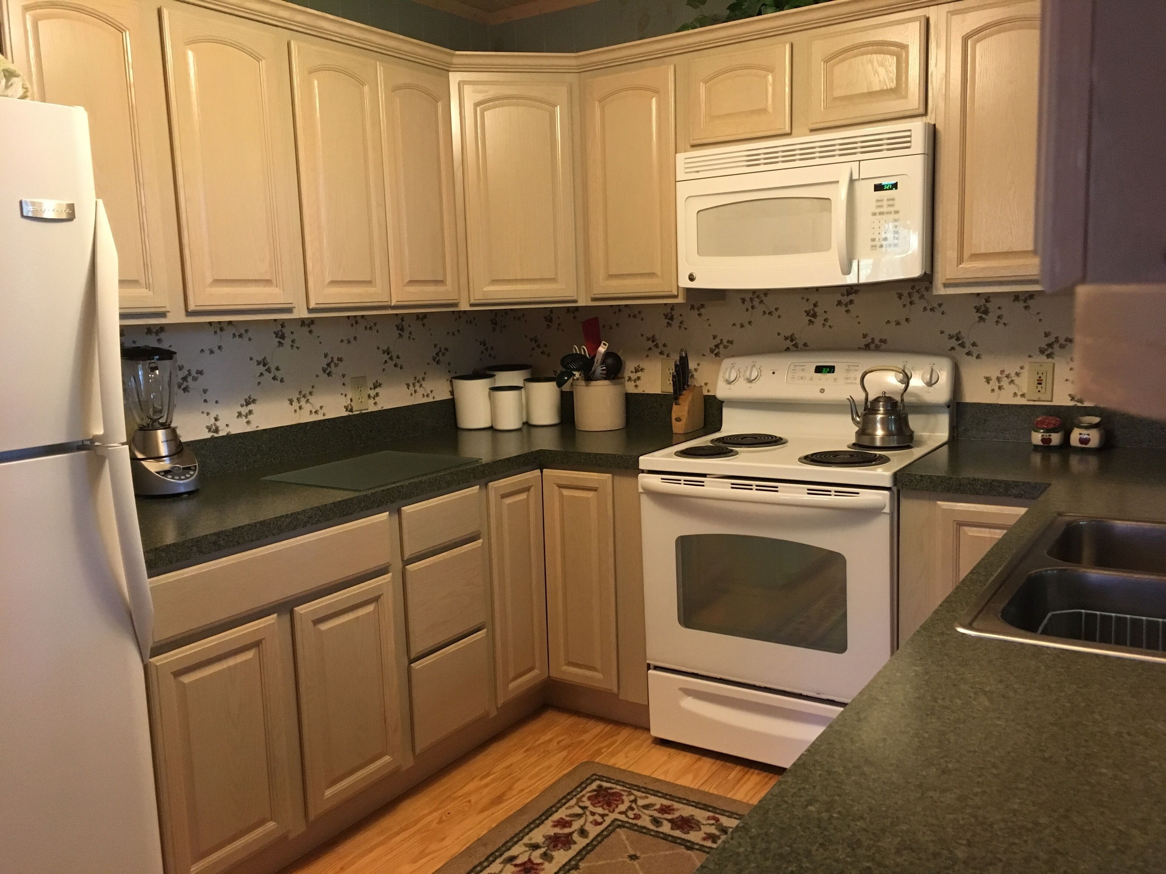 Beautiful Log Cabin Mountain Top Retreat, Among the Trees