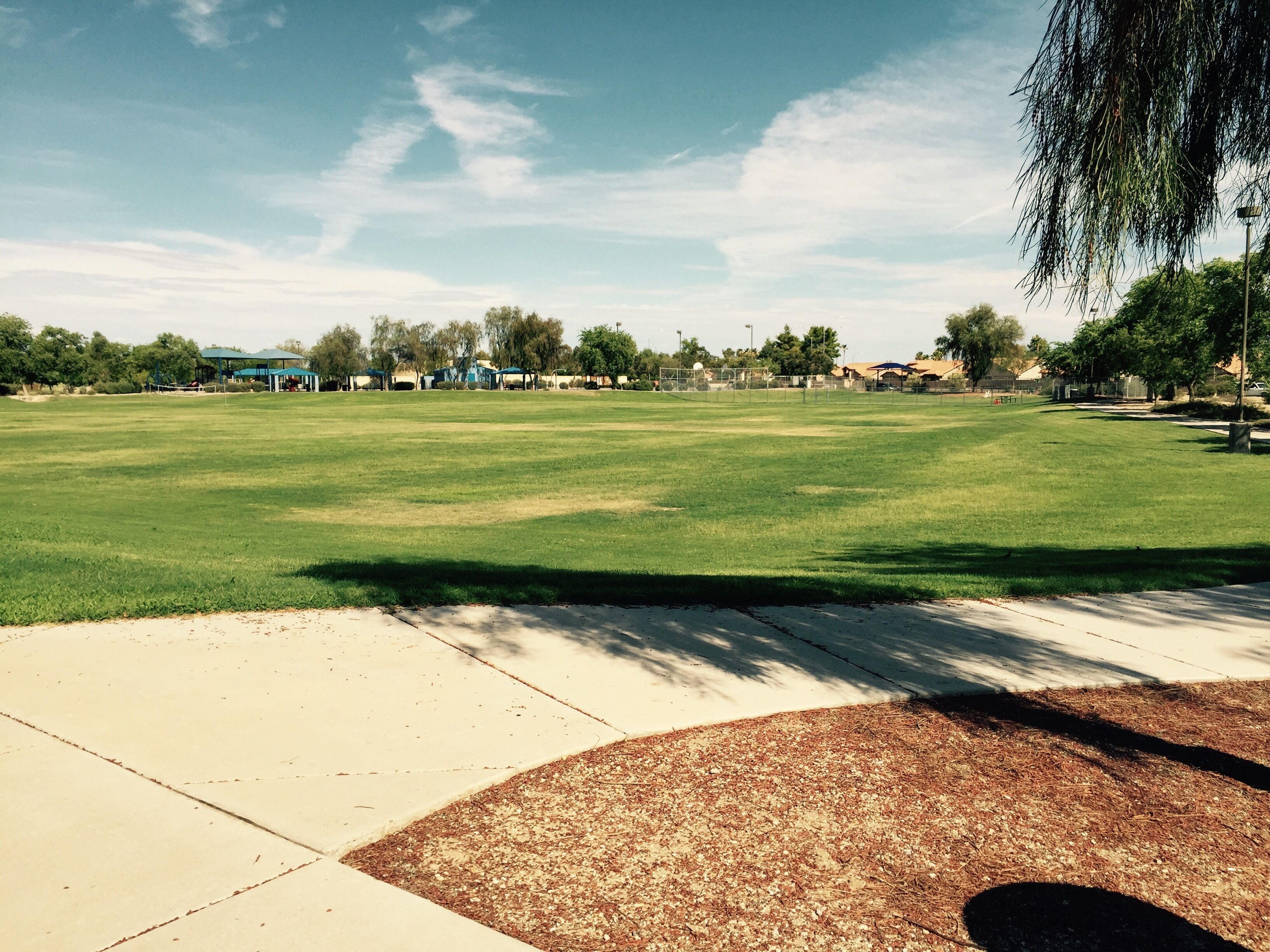 A large, open grassy field with a paved walkway and a small wooded area.