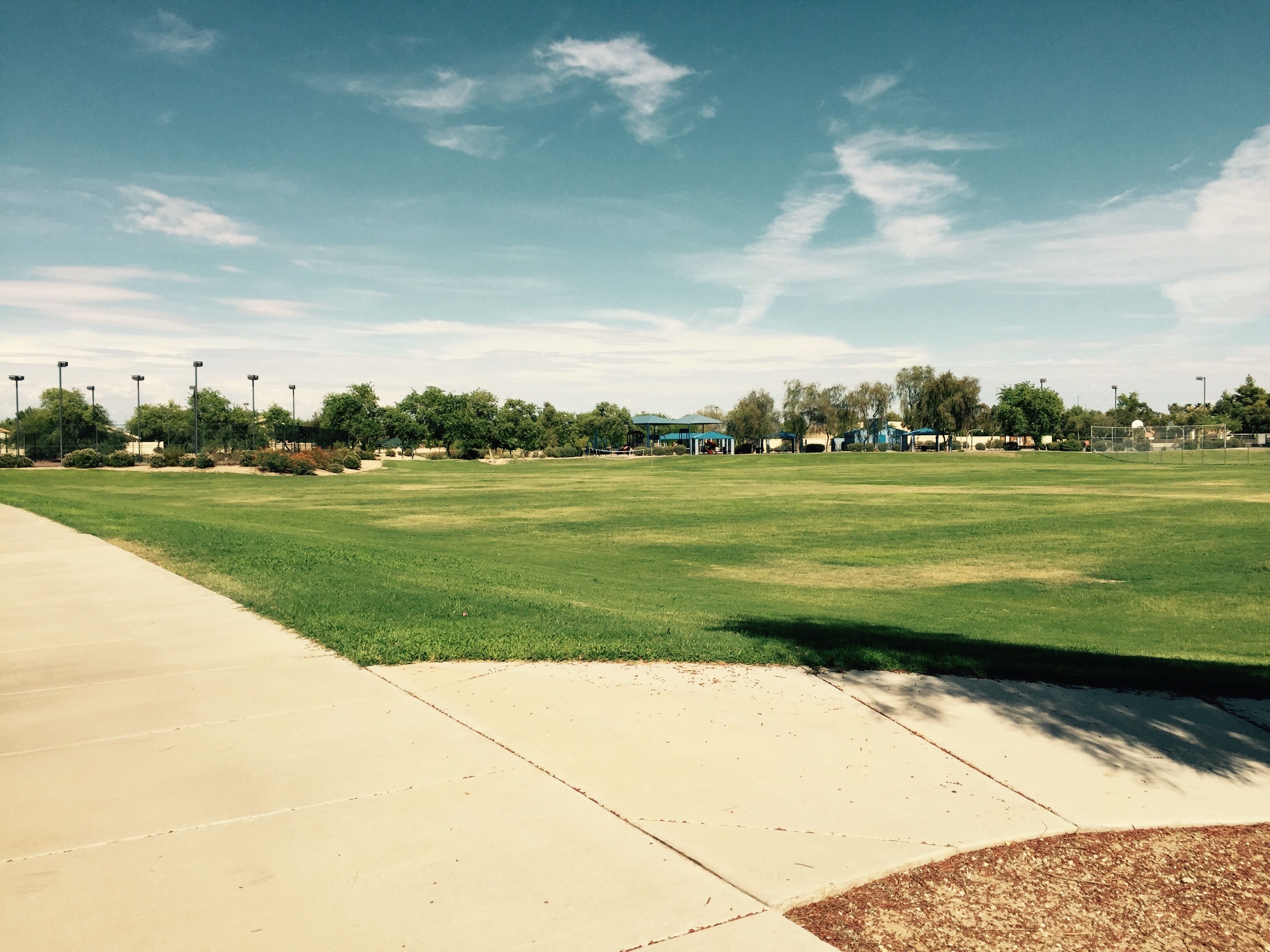 A large open grassy field with a paved walkway, surrounded by trees and buildings.