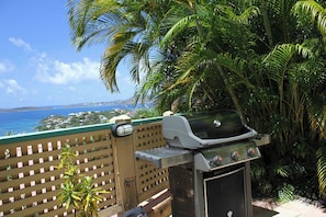 A barbecue grill with a view of the ocean and palm trees. - Exclusive Wraparound Deck, A/C, and Breathtaking Water Views – Your Perfect Getaway! (Cruz Bay)