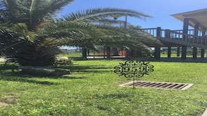 Relax under the shade of a large palm tree in a serene outdoor area.