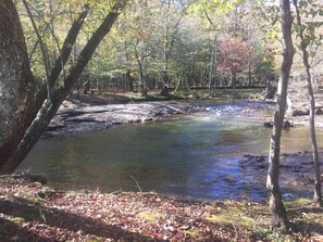 Un cadre naturel en plein air, avec un ruisseau aux eaux claires, bordé d’arbres et jonché de feuilles mortes.