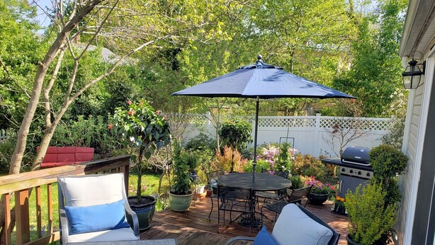 A patio with a table and chairs, a grill, and various potted plants. - Garfield Guest House - Hawksbill Suite (Luray)