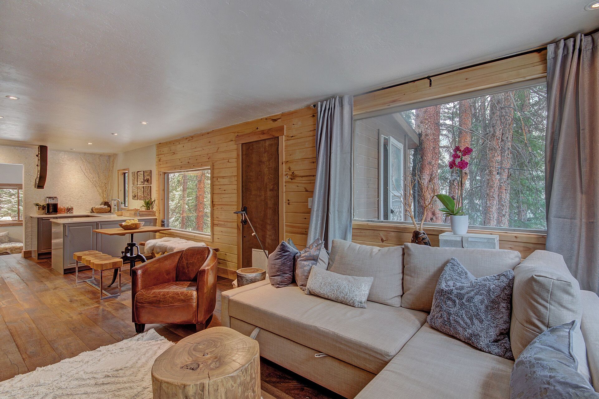 Forested Setting Breckenridge Riverhaus by Redawning