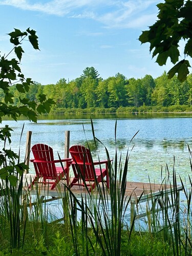 Waterfront! Quiet, Spacious, Serene Retreat Located in a Private Wooded Setting