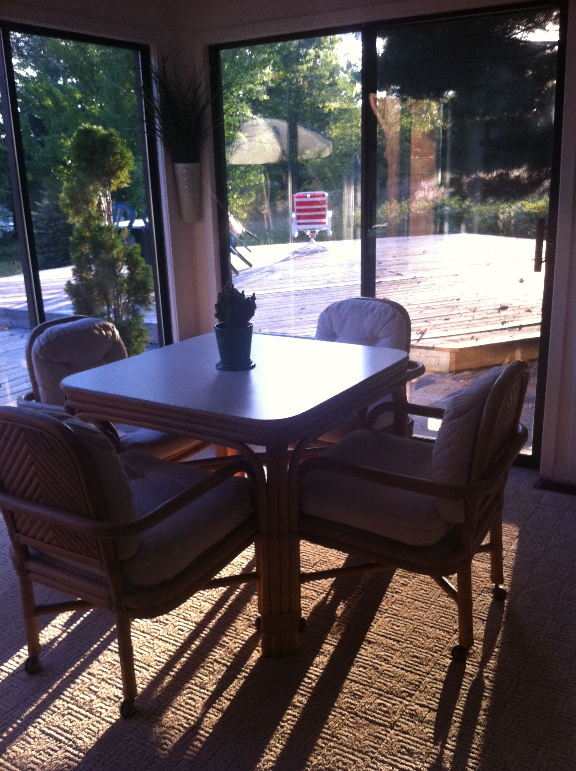 Un coin repas avec une table et quatre chaises, de grandes fenêtres donnant sur une terrasse et sur la verdure, et une plante en pot posée sur la table.