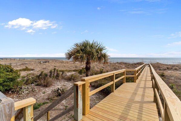 Luokittelematon kuva, 1 kautta 54, painike