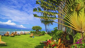 Un jardín tropical con piscina, palmeras y vista al océano.