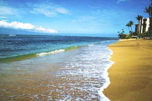 Studio | Beach