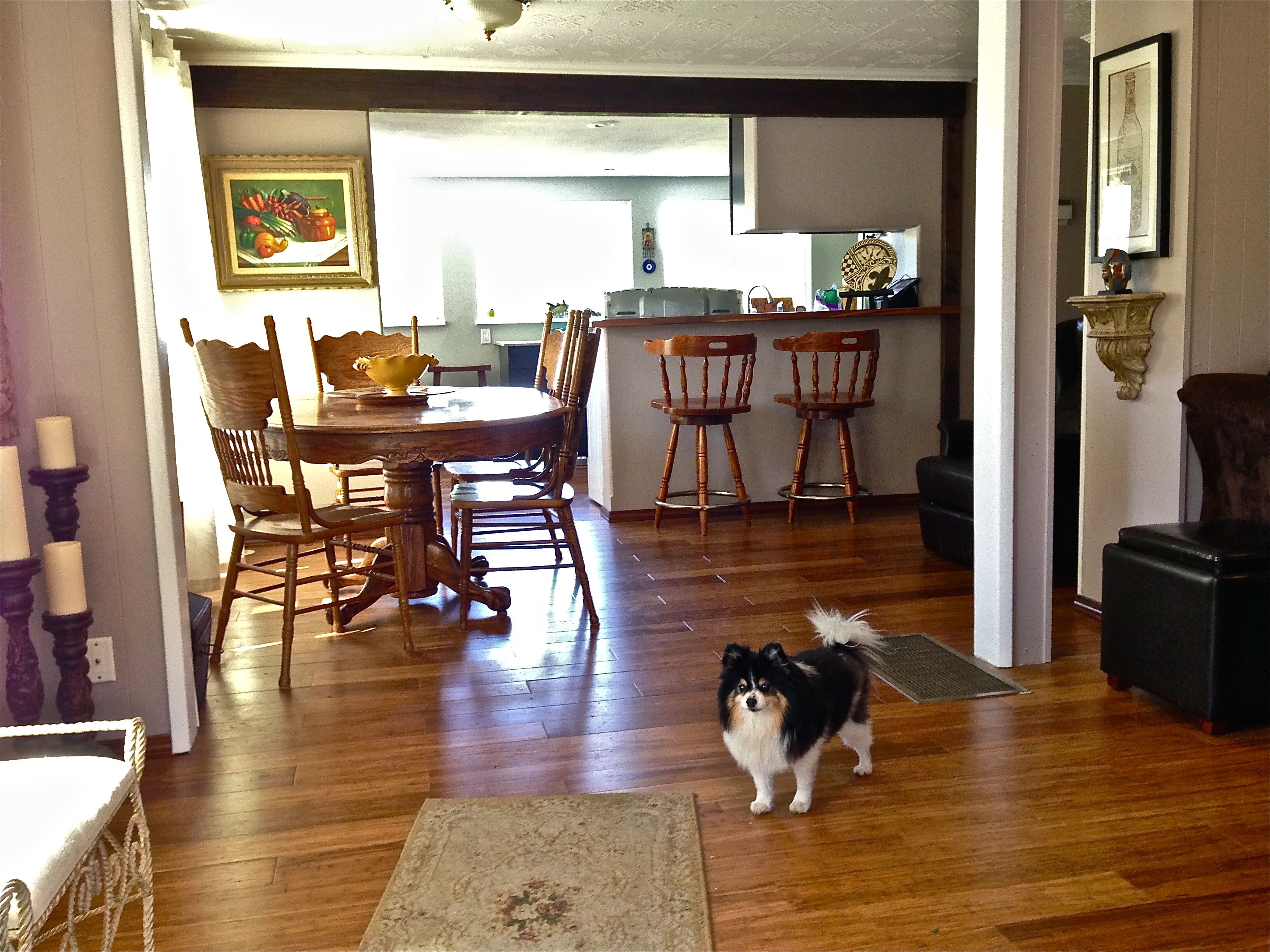 River views! Sleeps 6, walk to Wine, Hiking and Sandbar - Dogs Welcome!