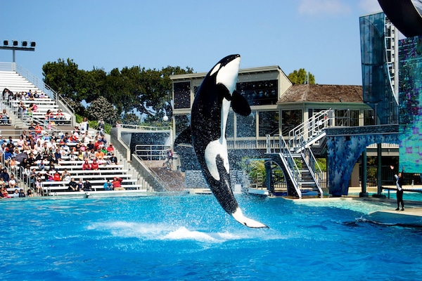10 min drive to SeaWorld San Diego
