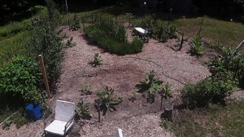 A garden with various plants and a chair.