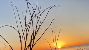 A beach with sparse vegetation and footprints in the sand, with the sun setting in the background. - Oceanview at Surfside-Where the Fun is up and Stress is Down! (Myrtle Beach)