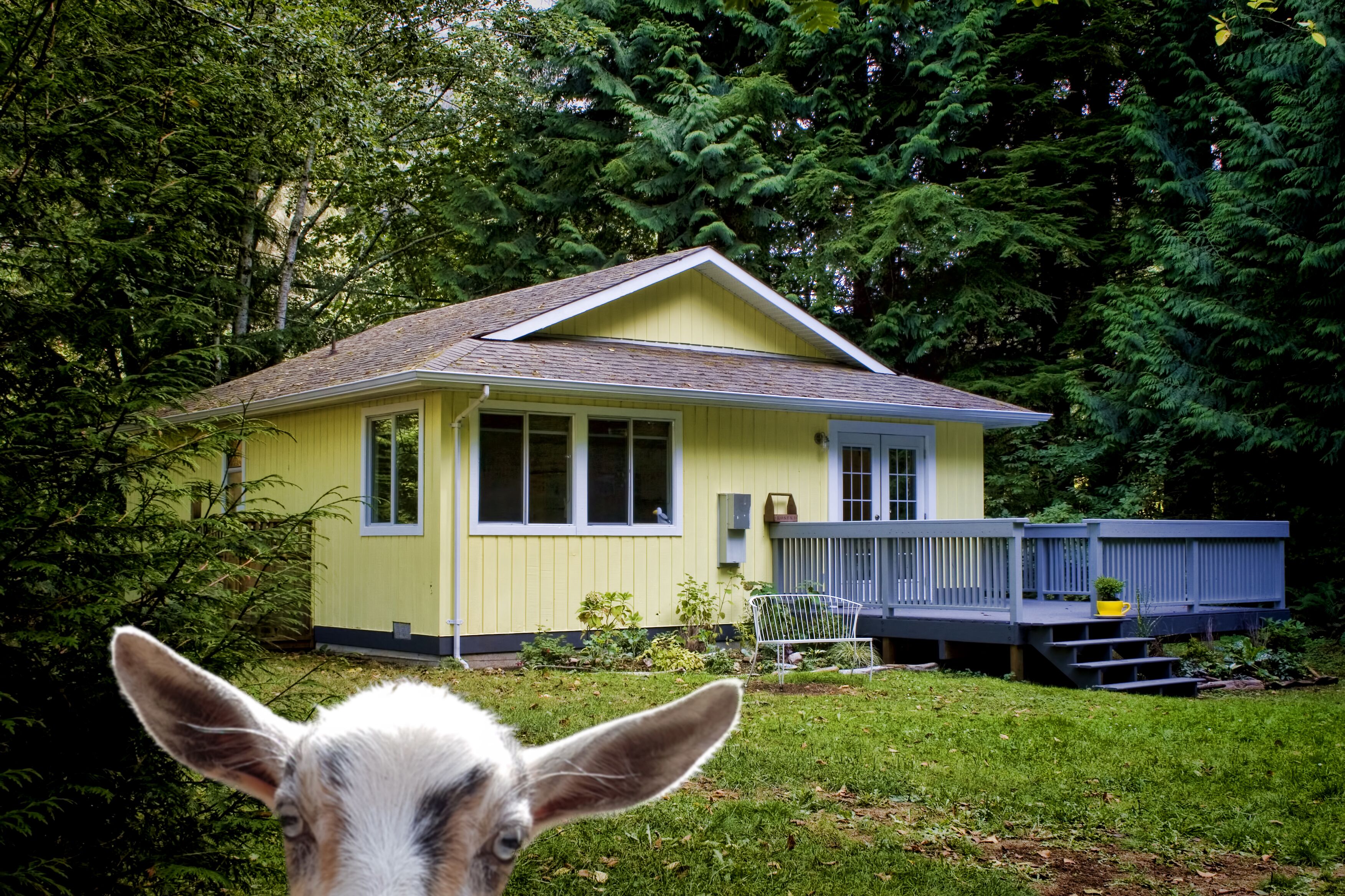 Diamond Cottage, close to Sooke, Shirley and Port Renfrew. 40 mins to Victoria