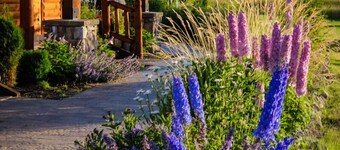 The Rising Wolf , with sunset views of Glacier Park 