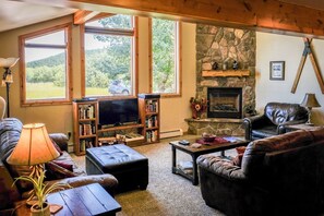 Smart TV, fireplace, DVD player, books