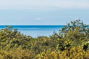 Eine Küstenlandschaft mit dichter Vegetation im Vordergrund und ruhiger See im Hintergrund.