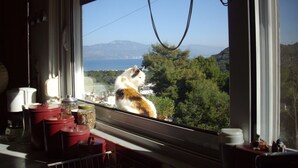 A window with a view of a mountainous landscape and a body of water. - In the center of Ancient Greece and Saronic sea (Corinthos)