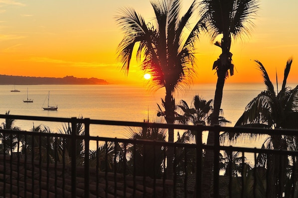 Enjoy breathtaking views of the calm sea from this balcony, surrounded by a palm tree and a sailboat on the horizon.