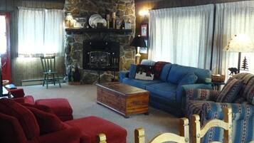 Smart TV, chimenea, reproductor de DVD y libros