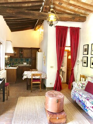 Televisión y libros 