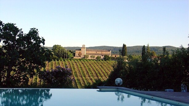 Une piscine offrant une vue dégagée sur un vignoble et un bâtiment en arrière-plan.