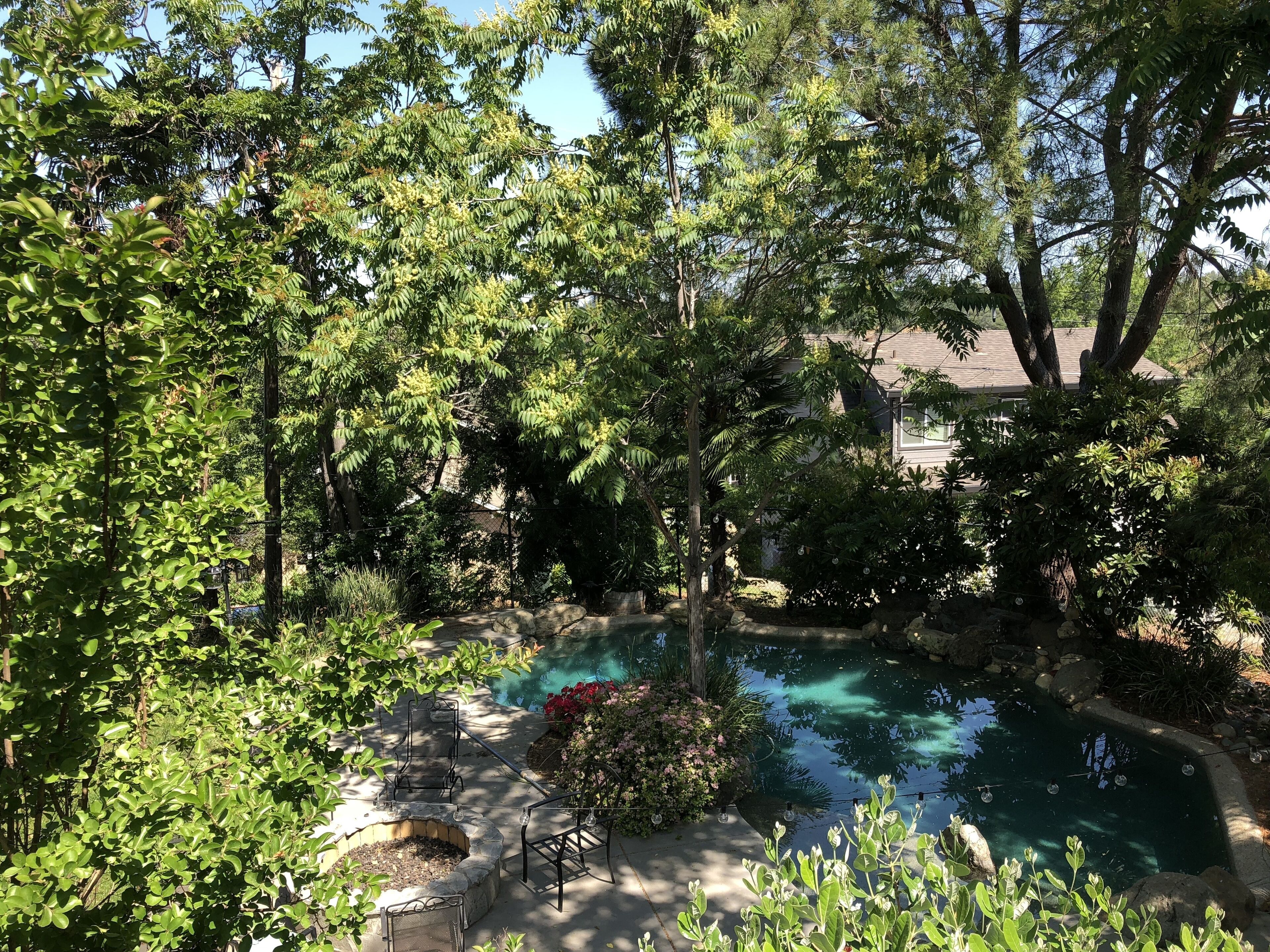 Piscina climatitzada 