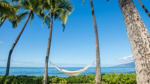 A hammock between palm trees by a clear blue sea. - OCEANFRONT PUAMANA 136-1 - FUN IN THE SUN! (Lahaina)