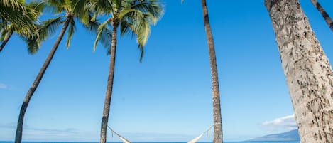 Sun-loungers, beach towels