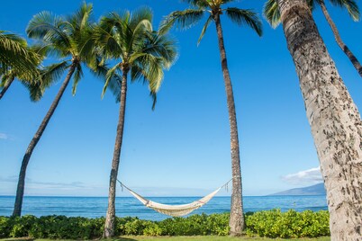 OCEANFRONT PUAMANA 136-1 - FUN IN THE SUN!
