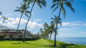 A beachfront property with a well-maintained lawn, palm trees, and a view of the ocean. - OCEANFRONT PUAMANA 136-1 - FUN IN THE SUN! (Lahaina)