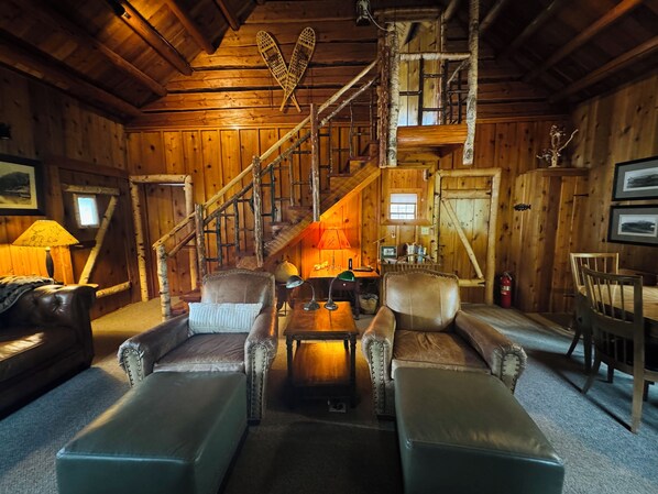 Smart TV, fireplace, DVD player, books