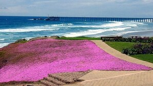 A coastal view with a pier extending into the ocean. - DELUXE VILLA FOR 6 GUESTS-2 BEDROOM,1BATH (Rosarito)