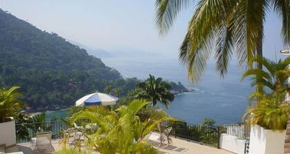 Stunning views of Banderas Bay & the jungle of Mismaloya