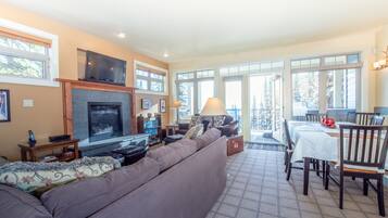 TV, fireplace, books, music library