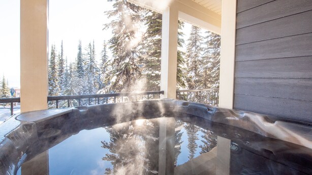 A hot tub with a view of snow-covered trees.
