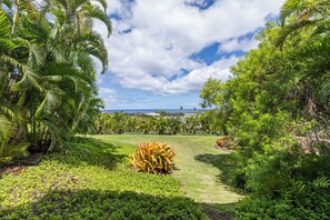 Property grounds - WAILEA JEWEL; NEAR BEACHES; SHOPS/5 STAR HOTELS; CONVENIENT! (Kihei)