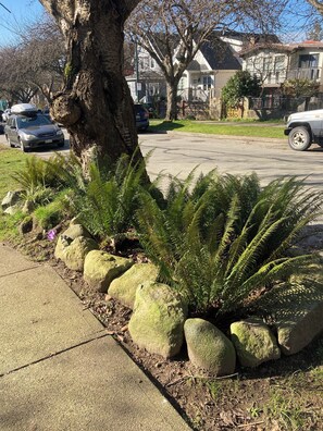 Áreas de la propiedad